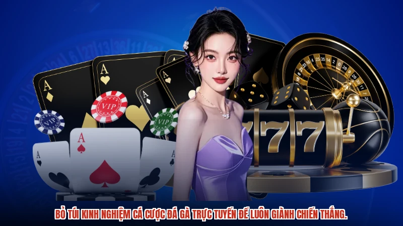 Bỏ túi kinh nghiệm cá cược đá gà trực tuyến để luôn giành chiến thắng.