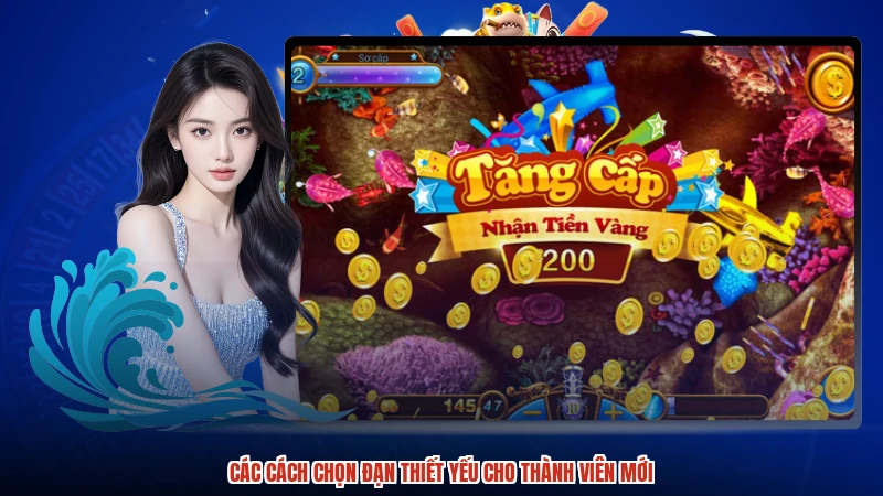 Các cách chọn đạn thiết yếu cho thành viên mới