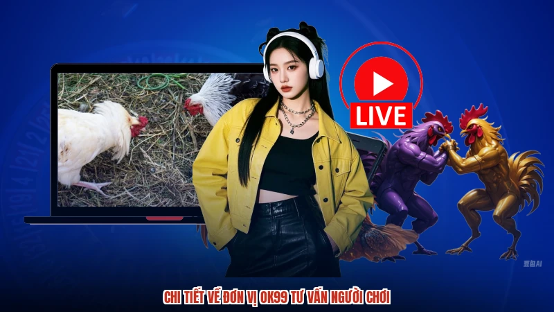 Chi tiết về đơn vị OK99 tư vấn người chơi