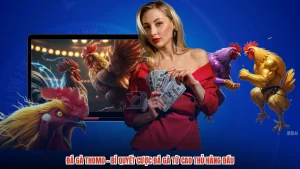 Đá Gà Thomo - Bí Quyết Cược Đá Gà Từ Cao Thủ Hàng Đầu