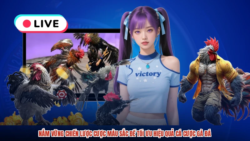 Nắm vững chiến lược cược màu sắc để tối ưu hiệu quả cá cược gà đá
