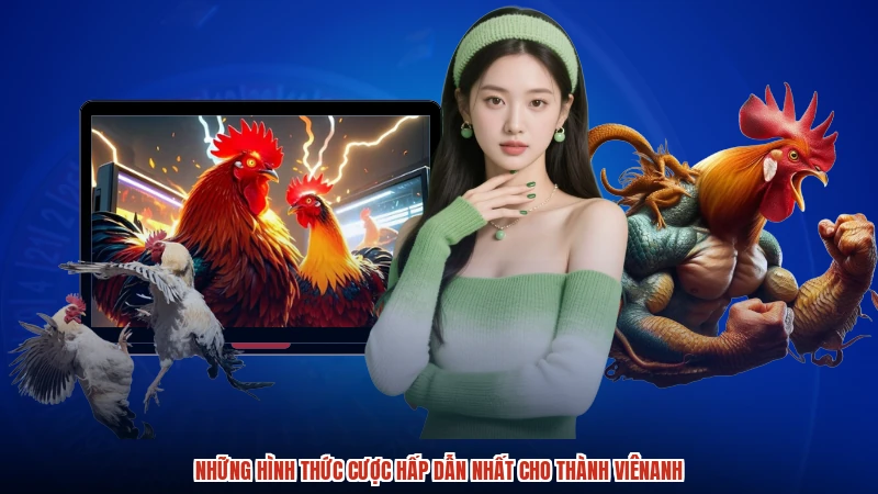 Những hình thức cược hấp dẫn nhất cho thành viênanh
