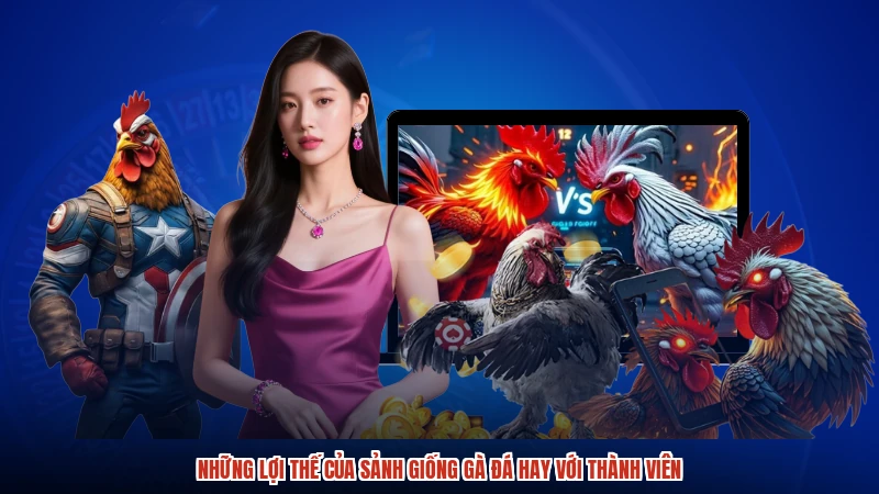 Những lợi thế của sảnh giống gà đá hay với thành viên:comimage1