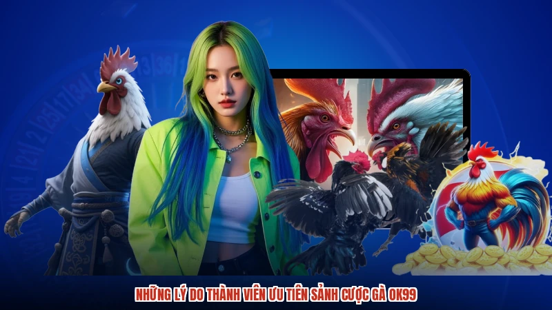 Những lý do thành viên ưu tiên sảnh cược gà OK99:comimage2