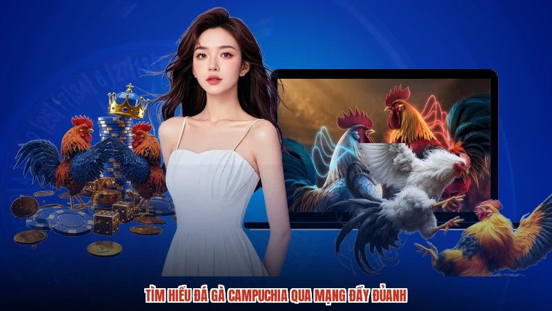 Tìm hiểu đá gà Campuchia qua mạng đầy đủanh