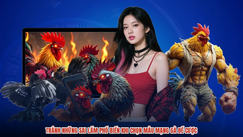 Tránh những sai lầm phổ biến khi chọn màu mạng gà để cược