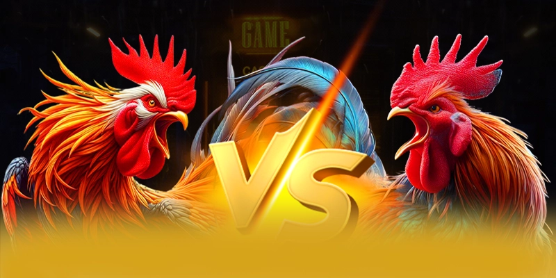 FB88 - Cổng game cung cấp hàng trăm tựa game đẳng cấp trên thị trường FB88 - Cổng game cung cấp hàng trăm tựa game đẳng cấp trên thị trường