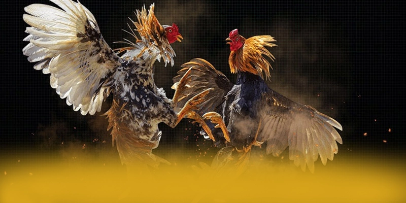 Ưu đãi khủng dành cho tất cả người chơi tại 8XBET Ưu đãi khủng dành cho tất cả người chơi tại 8XBET