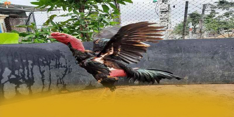 Khuyến mãi khủng dành cho cộng đồng tại BET168 Khuyến mãi khủng dành cho cộng đồng tại BET168